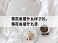 黄花鱼是什么样子的，黄花鱼是什么目