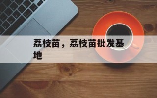 荔枝苗，荔枝苗批发基地