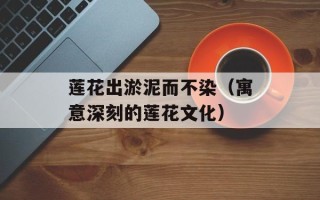 莲花出淤泥而不染（寓意深刻的莲花文化）