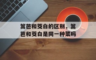 篙芭和茭白的区别，篙芭和茭白是同一种菜吗