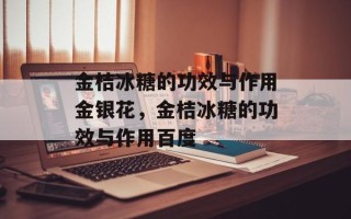 金桔冰糖的功效与作用金银花，金桔冰糖的功效与作用百度
