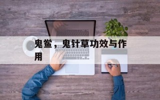 鬼鲎，鬼针草功效与作用