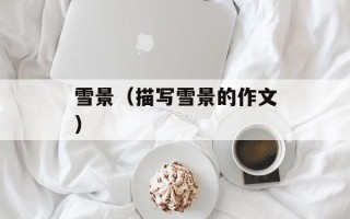雪景（描写雪景的作文）