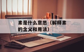 素是什么意思（解释素的含义和用法）