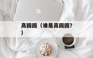 高园园（谁是高园园？）