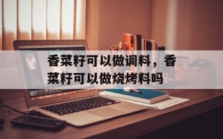 香菜籽可以做调料，香菜籽可以做烧烤料吗