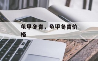 龟甲冬青，龟甲冬青价格