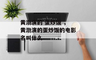黄渤演的 蛋炒饭 ，黄渤演的蛋炒饭的电影名叫什么