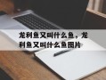 龙利鱼又叫什么鱼，龙利鱼又叫什么鱼图片