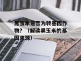 黑玉米是否为转基因作物？（解读黑玉米的基因来源）