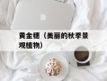 黄金穗（美丽的秋季景观植物）