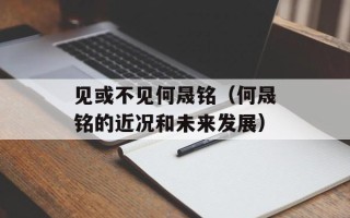 见或不见何晟铭（何晟铭的近况和未来发展）