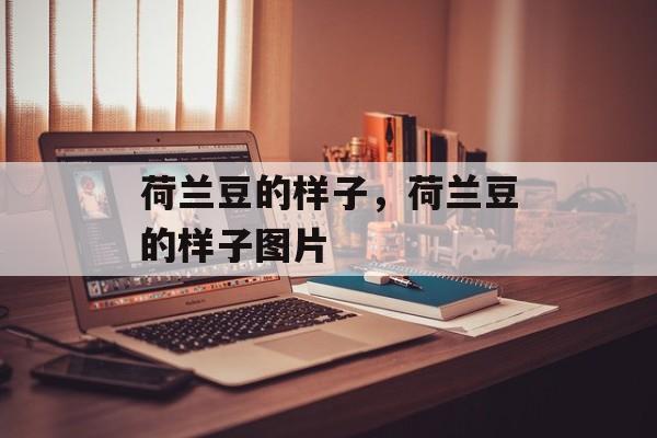 荷兰豆的样子，荷兰豆的样子图片-第1张图片-
