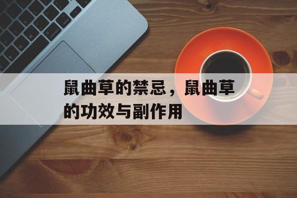 鼠曲草的禁忌，鼠曲草的功效与副作用-第1张图片-