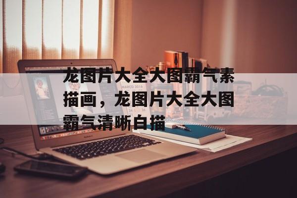 龙图片大全大图霸气素描画，龙图片大全大图霸气清晰白描-第1张图片-