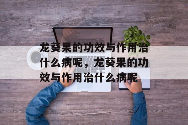 龙葵果的功效与作用治什么病呢，龙葵果的功效与作用治什么病呢-第1张图片-