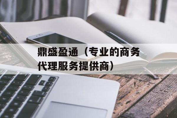 鼎盛盈通（专业的商务代理服务提供商）-第1张图片-