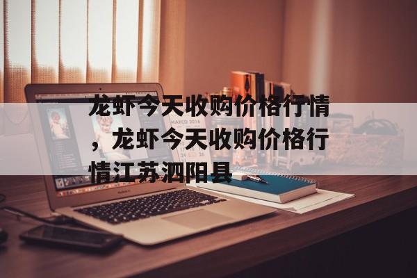 龙虾今天收购价格行情，龙虾今天收购价格行情江苏泗阳县-第1张图片-