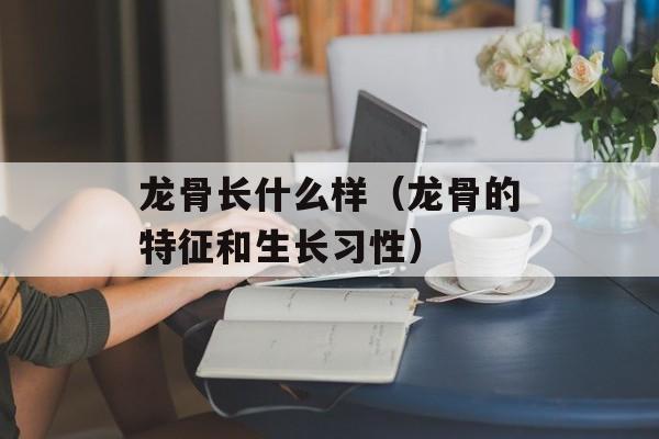 龙骨长什么样（龙骨的特征和生长习性）-第1张图片-