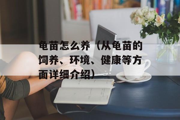 龟苗怎么养（从龟苗的饲养、环境、健康等方面详细介绍）-第1张图片-