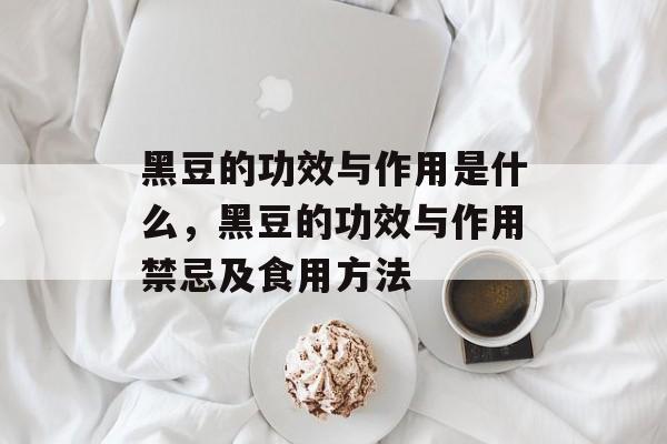黑豆的功效与作用是什么，黑豆的功效与作用禁忌及食用方法-第1张图片-