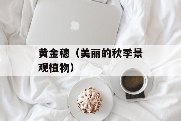 黄金穗（美丽的秋季景观植物）-第1张图片-