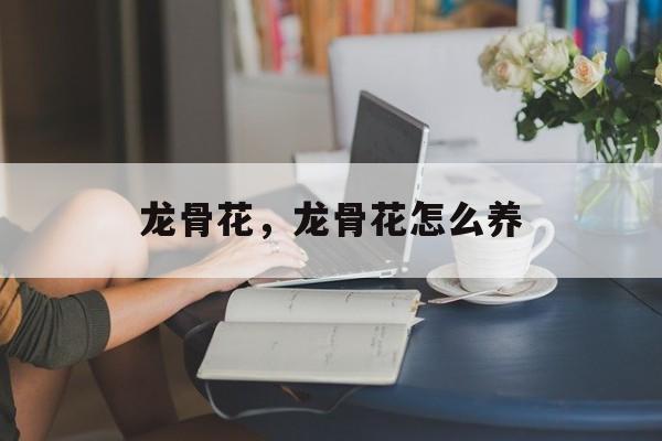龙骨花，龙骨花怎么养-第1张图片-