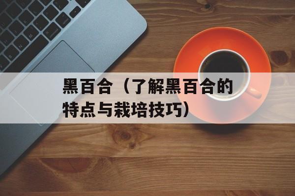 黑百合（了解黑百合的特点与栽培技巧）-第1张图片-