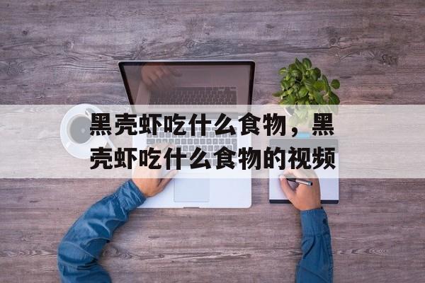 黑壳虾吃什么食物，黑壳虾吃什么食物的视频-第1张图片-