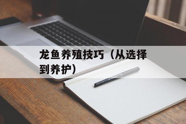 龙鱼养殖技巧（从选择到养护）-第1张图片-