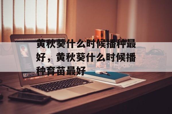 黄秋葵什么时候播种最好，黄秋葵什么时候播种育苗最好-第1张图片-