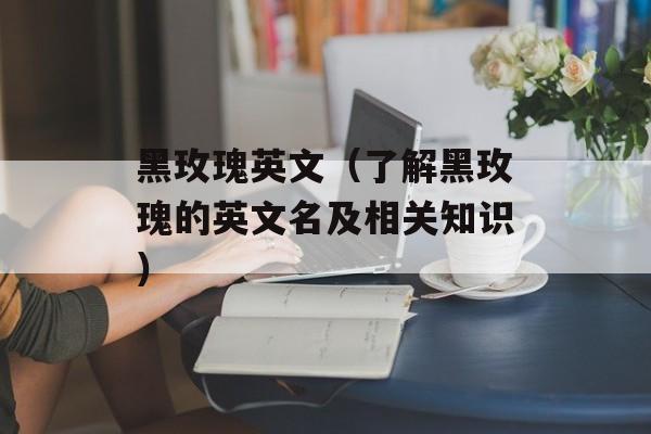 黑玫瑰英文（了解黑玫瑰的英文名及相关知识）-第1张图片-