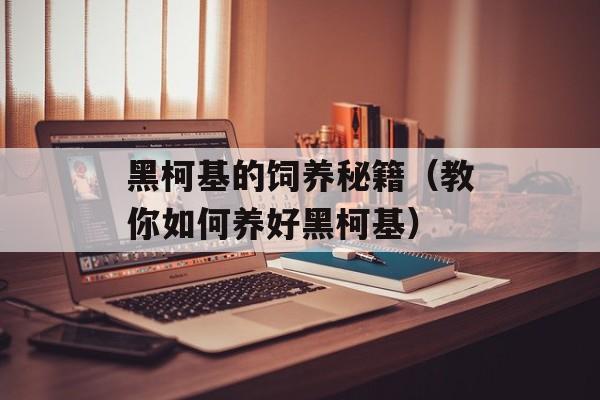 黑柯基的饲养秘籍（教你如何养好黑柯基）-第1张图片-
