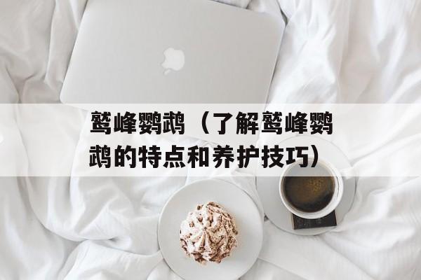 鹫峰鹦鹉（了解鹫峰鹦鹉的特点和养护技巧）-第1张图片-