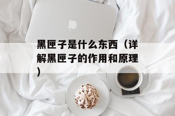 黑匣子是什么东西（详解黑匣子的作用和原理）-第1张图片-