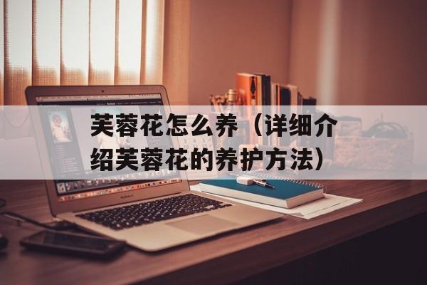 芙蓉花怎么养（详细介绍芙蓉花的养护方法）-第1张图片-