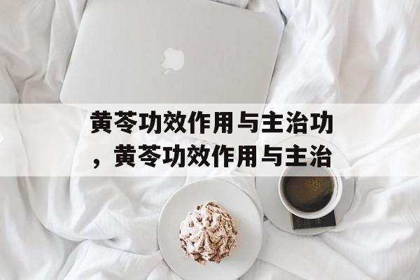 黄苓功效作用与主治功，黄苓功效作用与主治-第1张图片-