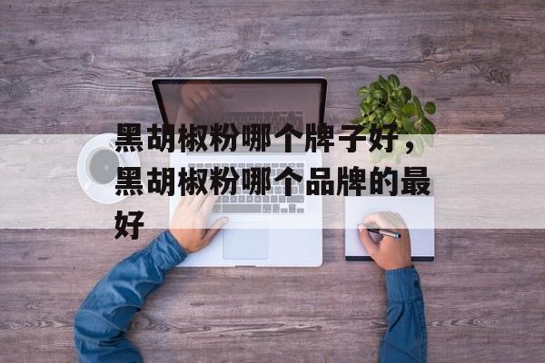 黑胡椒粉哪个牌子好，黑胡椒粉哪个品牌的最好-第1张图片-