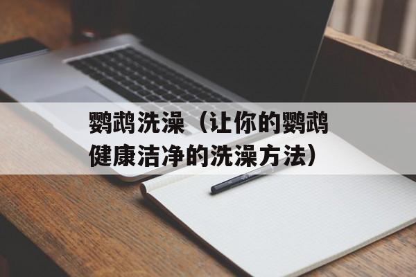 鹦鹉洗澡（让你的鹦鹉健康洁净的洗澡方法）-第1张图片-