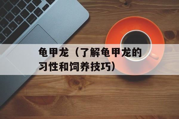 龟甲龙（了解龟甲龙的习性和饲养技巧）-第1张图片-