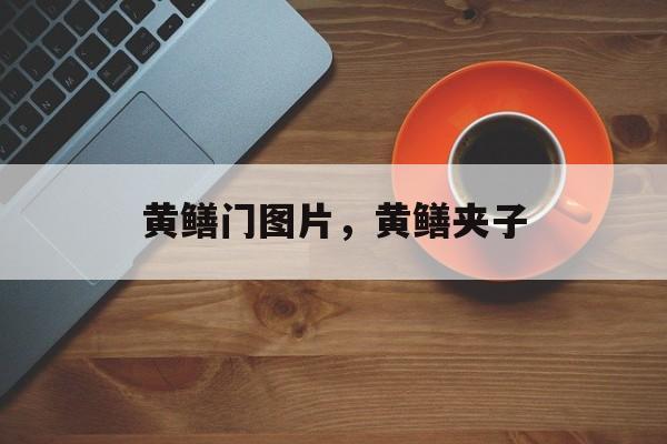 黄鳝门图片，黄鳝夹子-第1张图片-