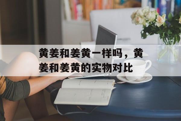 黄姜和姜黄一样吗，黄姜和姜黄的实物对比-第1张图片-