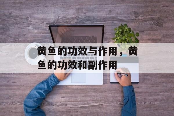 黄鱼的功效与作用，黄鱼的功效和副作用-第1张图片-