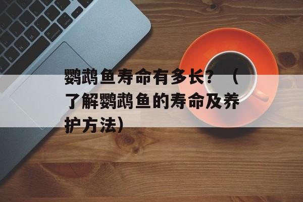 鹦鹉鱼寿命有多长？（了解鹦鹉鱼的寿命及养护方法）-第1张图片-