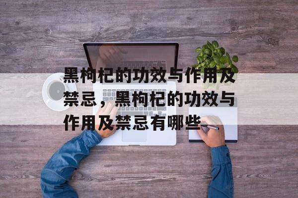 黑枸杞的功效与作用及禁忌，黑枸杞的功效与作用及禁忌有哪些-第1张图片-
