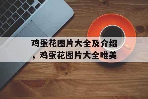 鸡蛋花图片大全及介绍，鸡蛋花图片大全唯美-第1张图片-