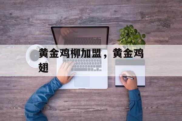黄金鸡柳加盟，黄金鸡翅-第1张图片-