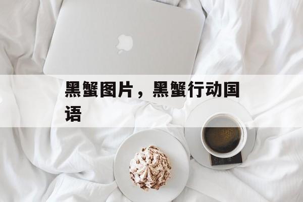 黑蟹图片，黑蟹行动国语-第1张图片-