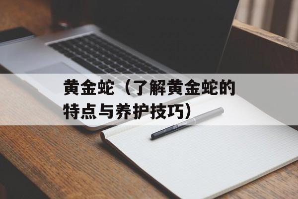 黄金蛇（了解黄金蛇的特点与养护技巧）-第1张图片-