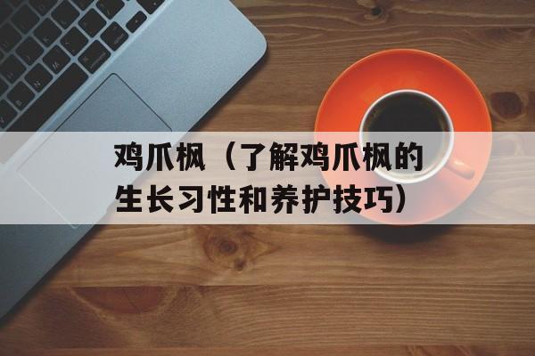 鸡爪枫（了解鸡爪枫的生长习性和养护技巧）-第1张图片-